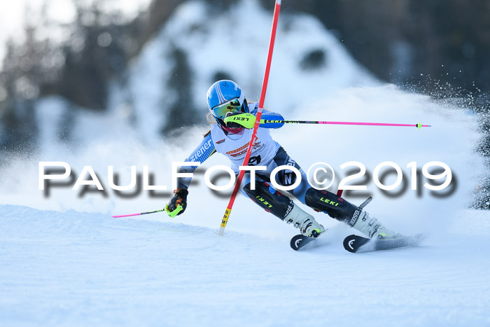 DSV Dt. Schülercup U14 SL 20.01.2019 Slalom