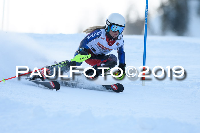 DSV Dt. Schülercup U14 SL 20.01.2019 Slalom