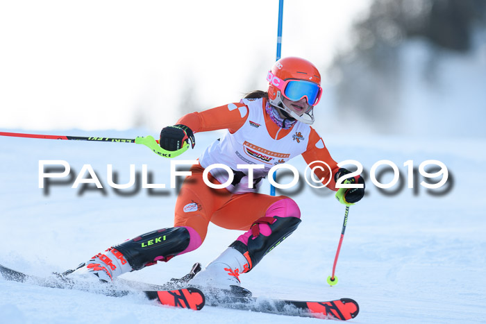 DSV Dt. Schülercup U14 SL 20.01.2019 Slalom