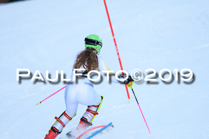 DSV Dt. Schülercup U14 SL 20.01.2019 Slalom