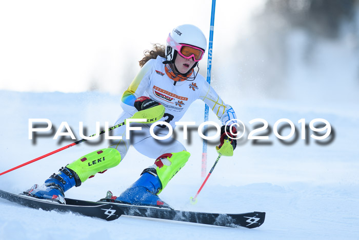 DSV Dt. Schülercup U14 SL 20.01.2019 Slalom