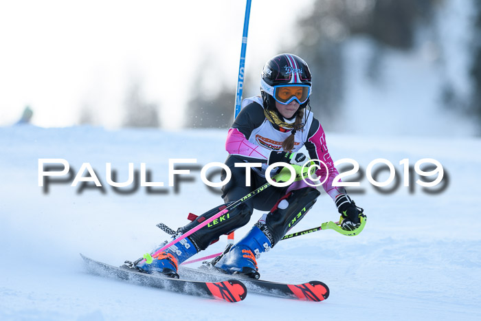 DSV Dt. Schülercup U14 SL 20.01.2019 Slalom
