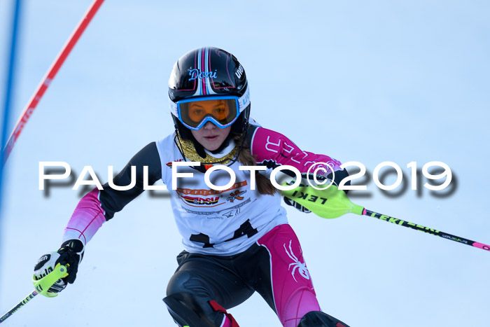 DSV Dt. Schülercup U14 SL 20.01.2019 Slalom
