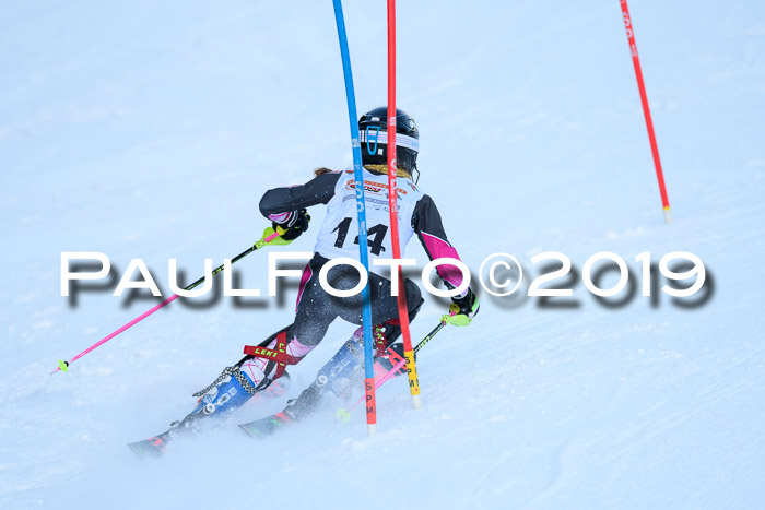 DSV Dt. Schülercup U14 SL 20.01.2019 Slalom