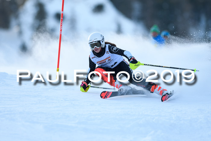 DSV Dt. Schülercup U14 SL 20.01.2019 Slalom