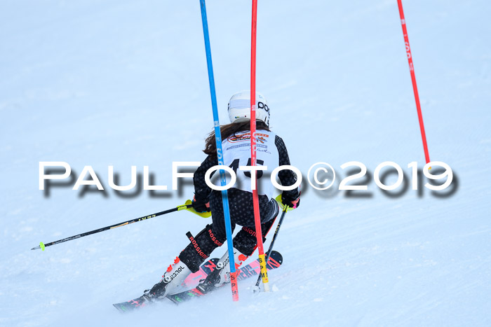 DSV Dt. Schülercup U14 SL 20.01.2019 Slalom