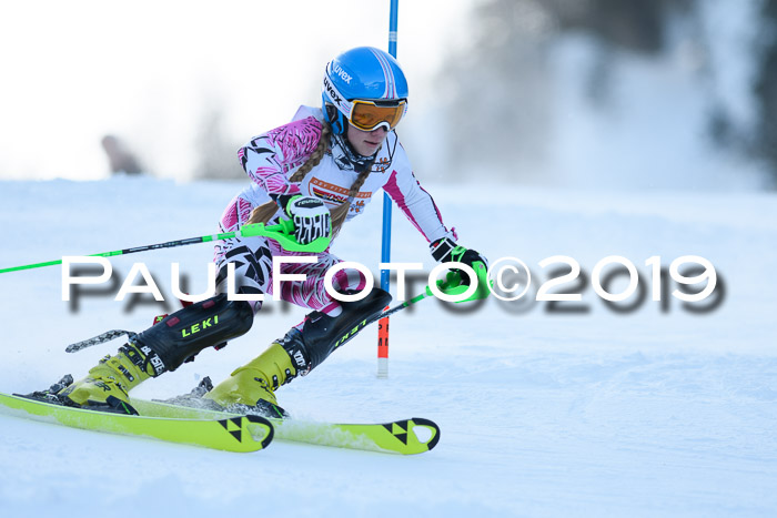 DSV Dt. Schülercup U14 SL 20.01.2019 Slalom