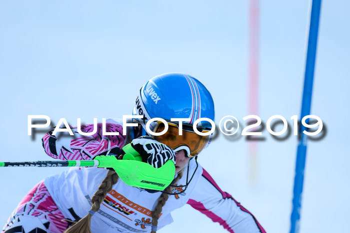 DSV Dt. Schülercup U14 SL 20.01.2019 Slalom