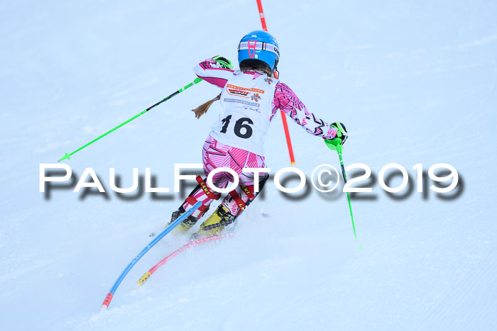 DSV Dt. Schülercup U14 SL 20.01.2019 Slalom