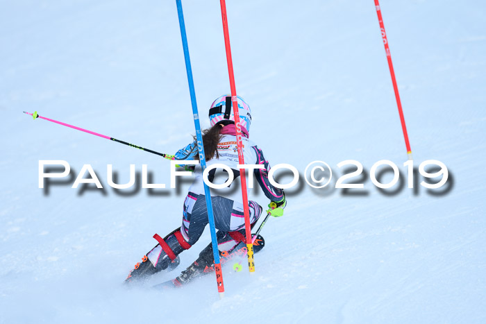 DSV Dt. Schülercup U14 SL 20.01.2019 Slalom