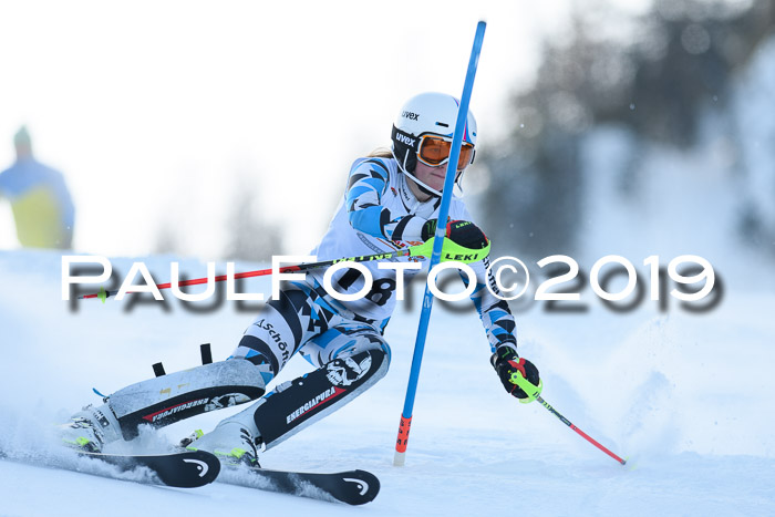 DSV Dt. Schülercup U14 SL 20.01.2019 Slalom