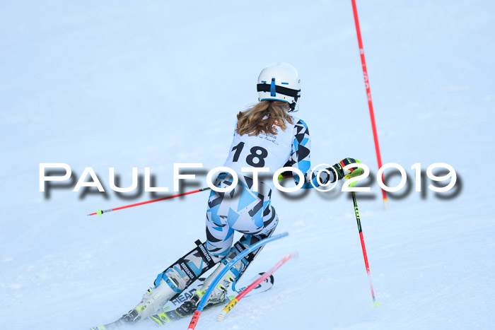 DSV Dt. Schülercup U14 SL 20.01.2019 Slalom
