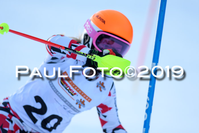 DSV Dt. Schülercup U14 SL 20.01.2019 Slalom