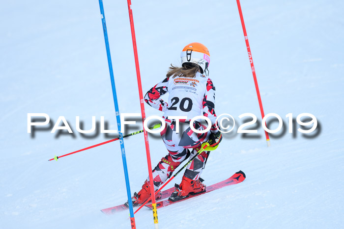 DSV Dt. Schülercup U14 SL 20.01.2019 Slalom