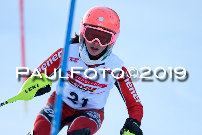DSV Dt. Schülercup U14 SL 20.01.2019 Slalom