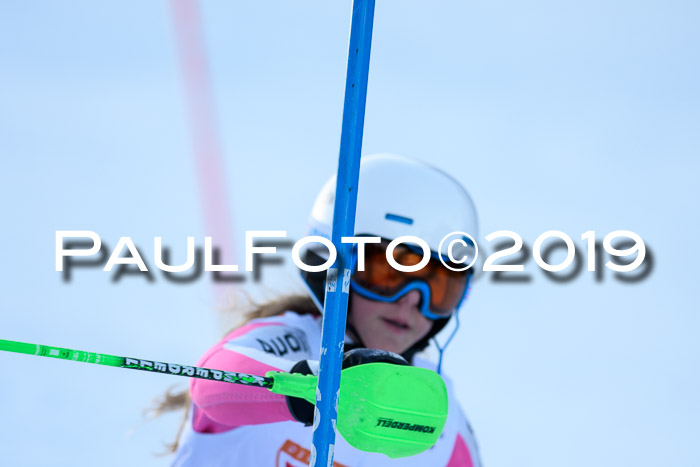 DSV Dt. Schülercup U14 SL 20.01.2019 Slalom