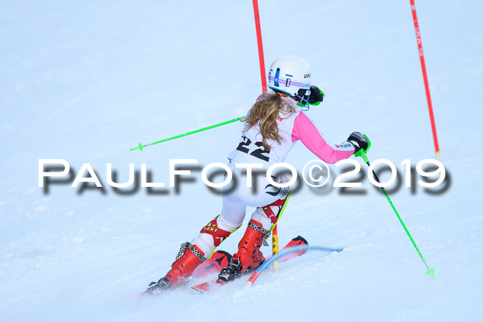 DSV Dt. Schülercup U14 SL 20.01.2019 Slalom
