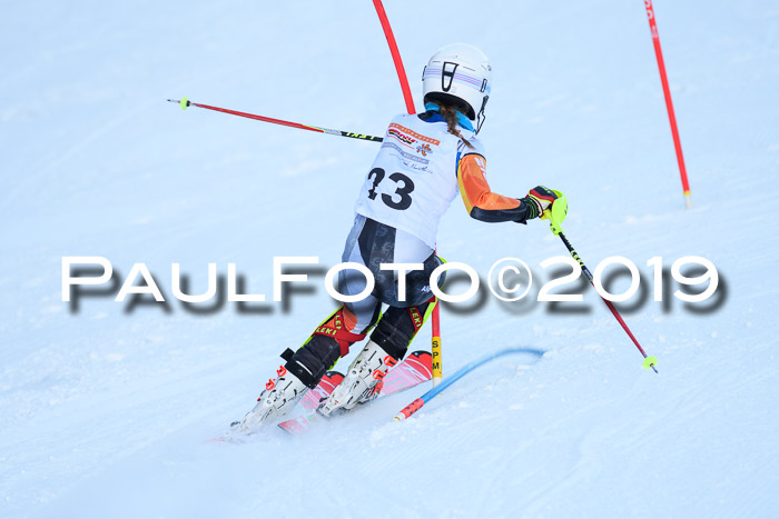 DSV Dt. Schülercup U14 SL 20.01.2019 Slalom