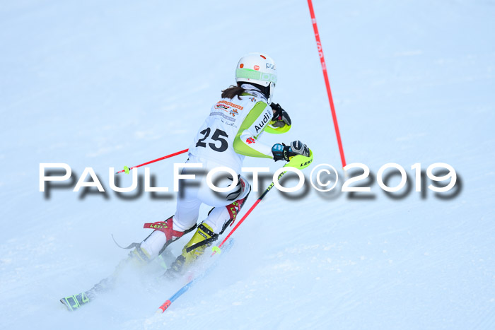 DSV Dt. Schülercup U14 SL 20.01.2019 Slalom