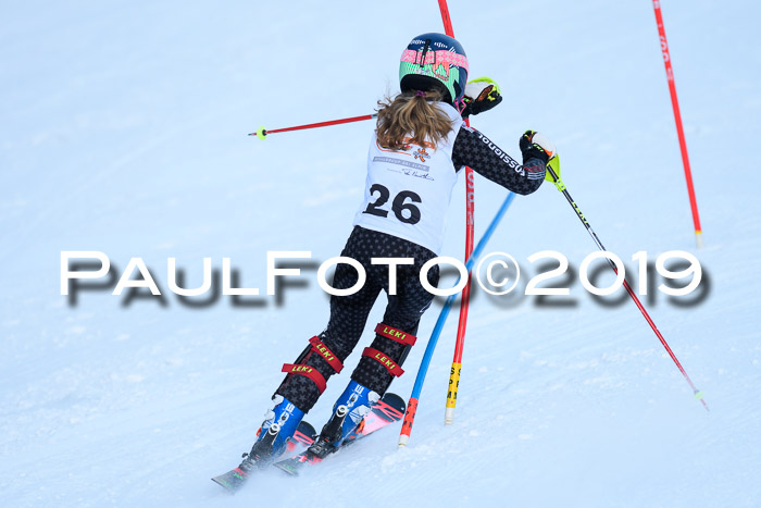 DSV Dt. Schülercup U14 SL 20.01.2019 Slalom