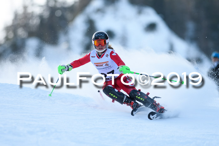 DSV Dt. Schülercup U14 SL 20.01.2019 Slalom