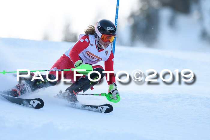 DSV Dt. Schülercup U14 SL 20.01.2019 Slalom