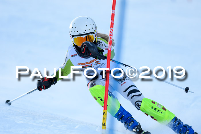 DSV Dt. Schülercup U14 SL 20.01.2019 Slalom