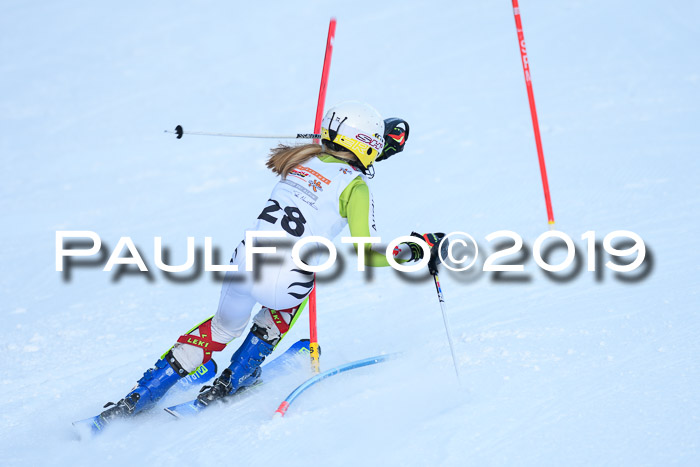DSV Dt. Schülercup U14 SL 20.01.2019 Slalom