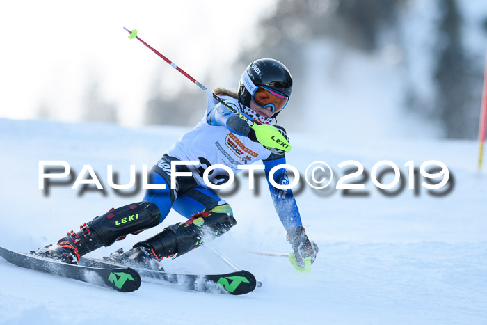 DSV Dt. Schülercup U14 SL 20.01.2019 Slalom