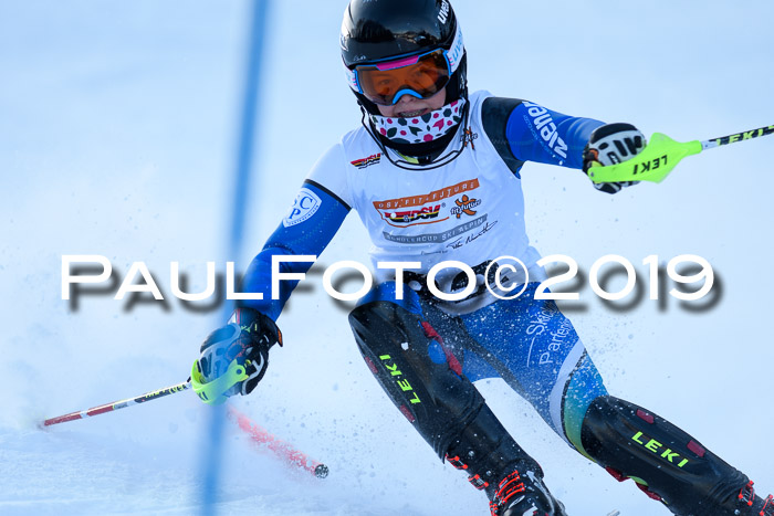 DSV Dt. Schülercup U14 SL 20.01.2019 Slalom