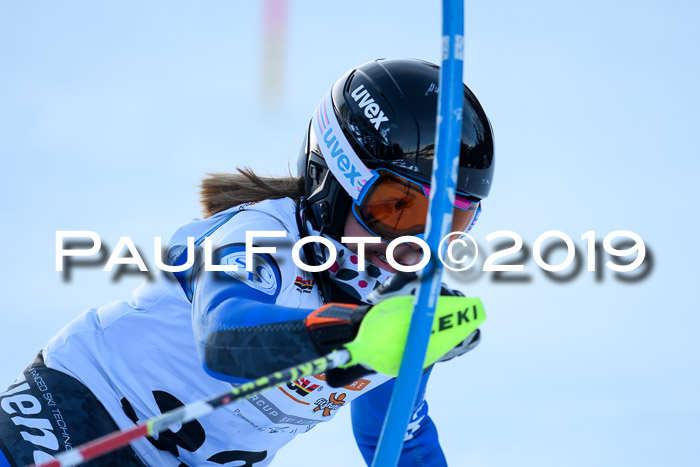 DSV Dt. Schülercup U14 SL 20.01.2019 Slalom