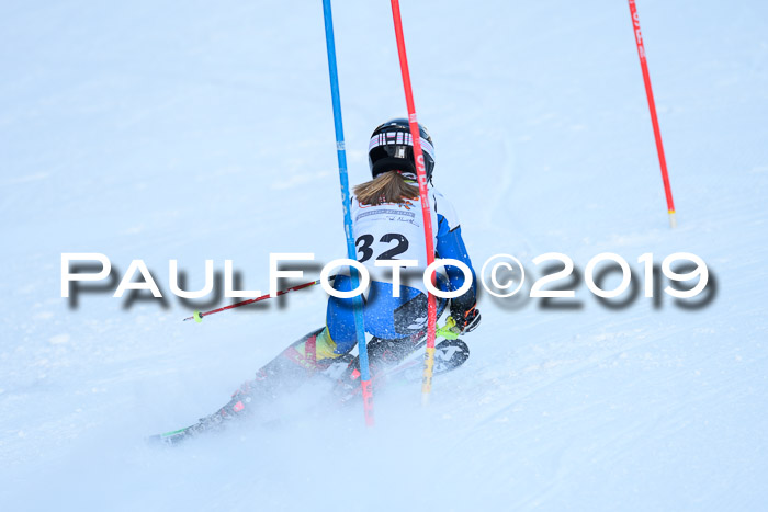 DSV Dt. Schülercup U14 SL 20.01.2019 Slalom