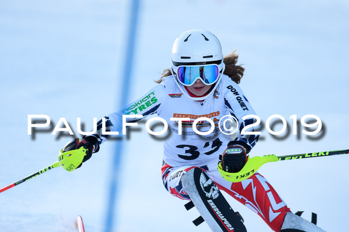 DSV Dt. Schülercup U14 SL 20.01.2019 Slalom