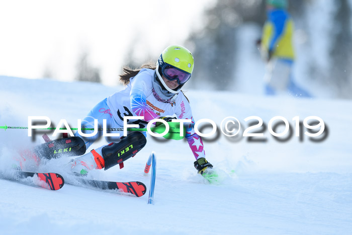 DSV Dt. Schülercup U14 SL 20.01.2019 Slalom
