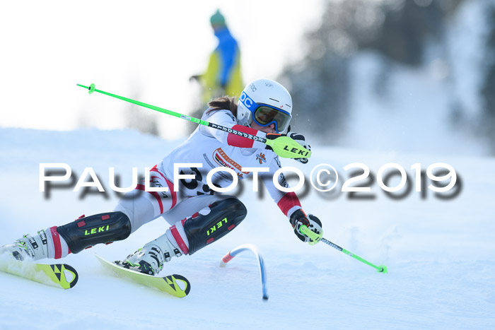DSV Dt. Schülercup U14 SL 20.01.2019 Slalom