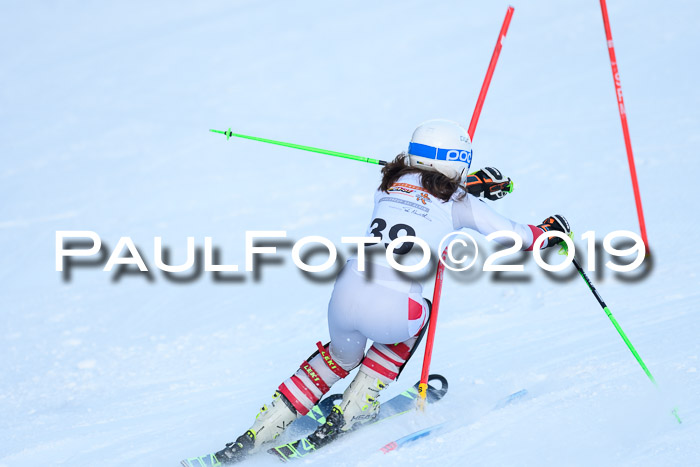 DSV Dt. Schülercup U14 SL 20.01.2019 Slalom