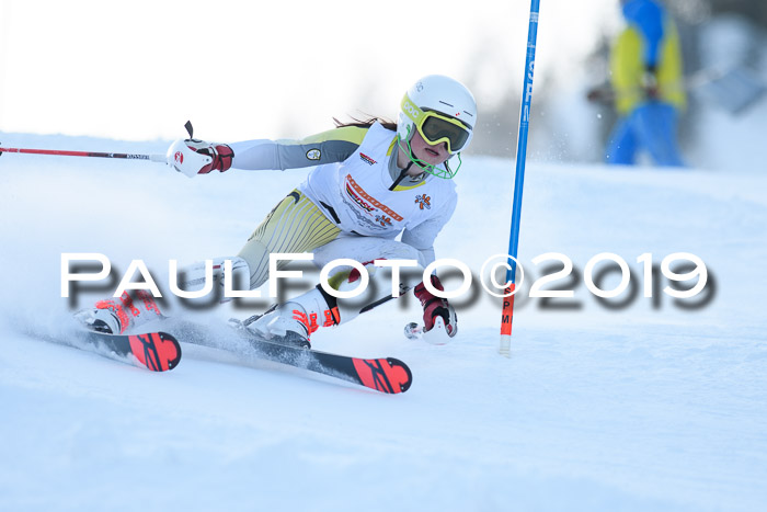 DSV Dt. Schülercup U14 SL 20.01.2019 Slalom