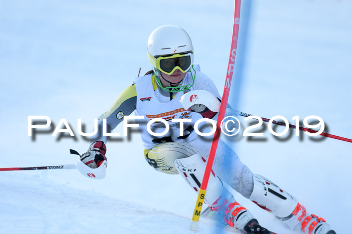 DSV Dt. Schülercup U14 SL 20.01.2019 Slalom