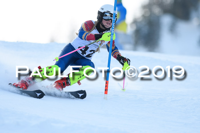 DSV Dt. Schülercup U14 SL 20.01.2019 Slalom