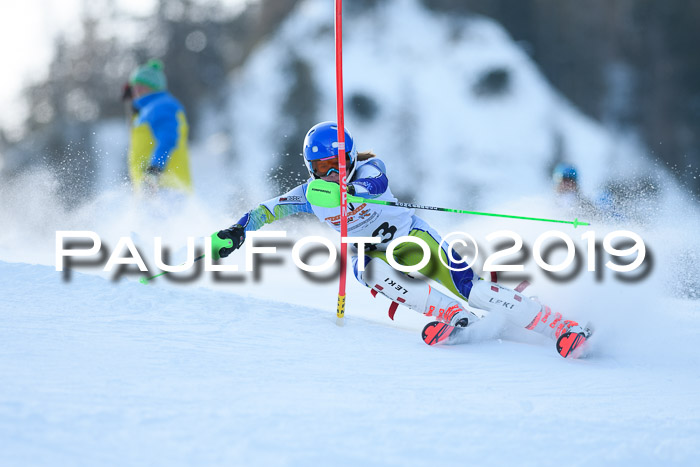 DSV Dt. Schülercup U14 SL 20.01.2019 Slalom