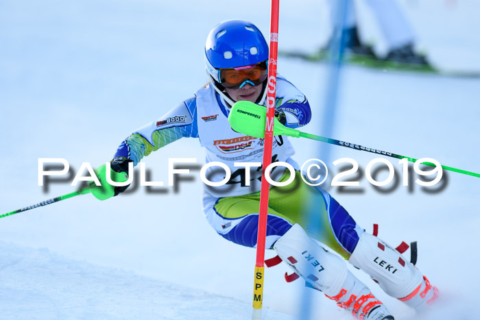 DSV Dt. Schülercup U14 SL 20.01.2019 Slalom