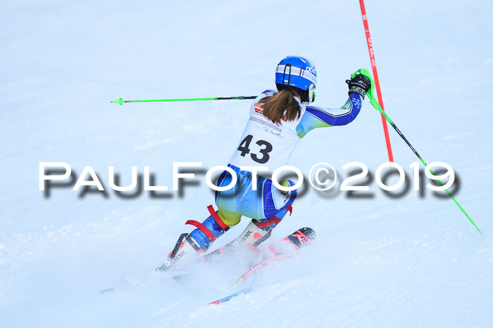 DSV Dt. Schülercup U14 SL 20.01.2019 Slalom