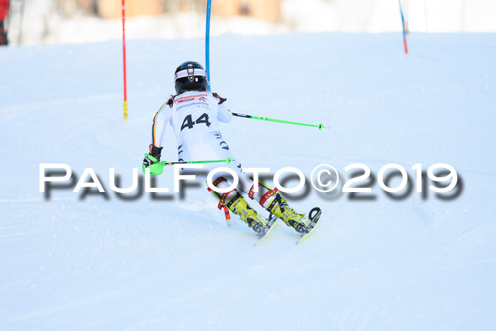 DSV Dt. Schülercup U14 SL 20.01.2019 Slalom