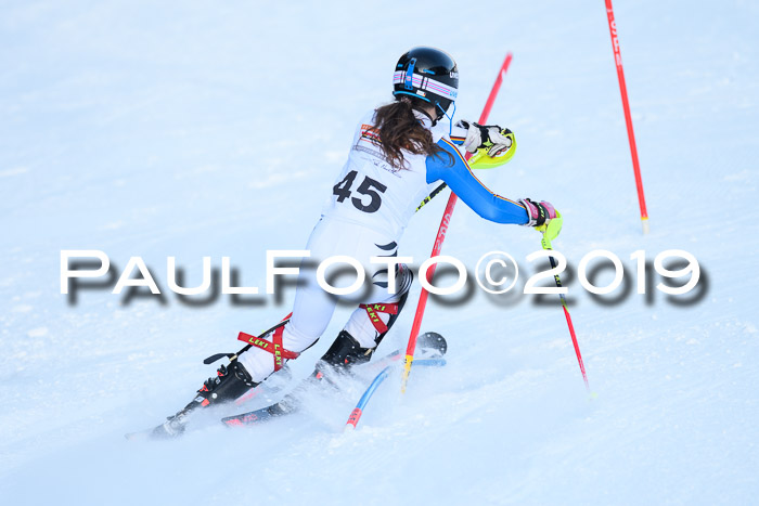 DSV Dt. Schülercup U14 SL 20.01.2019 Slalom