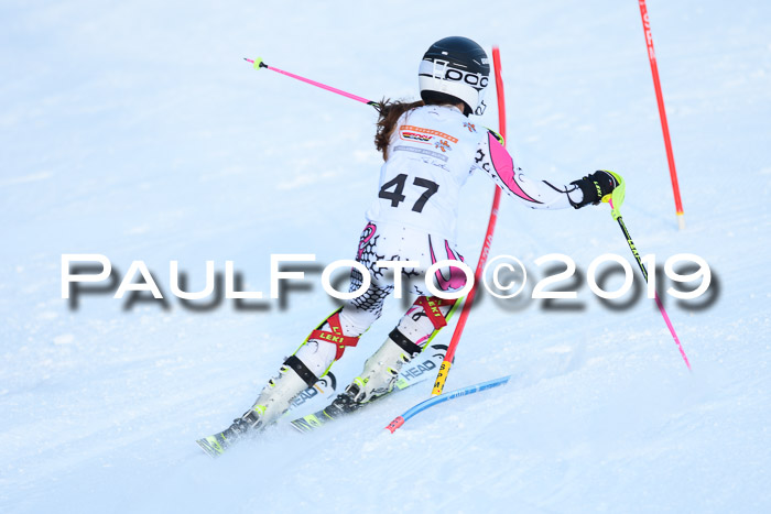 DSV Dt. Schülercup U14 SL 20.01.2019 Slalom