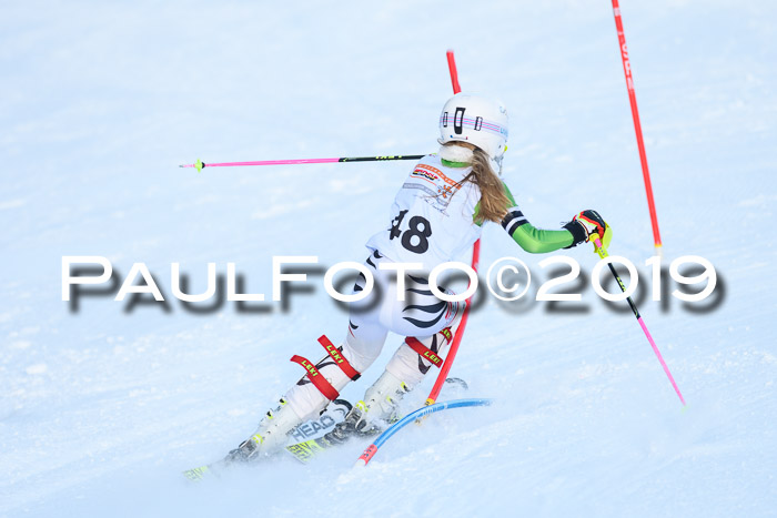 DSV Dt. Schülercup U14 SL 20.01.2019 Slalom