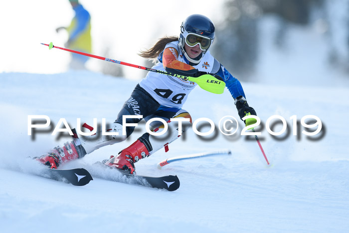DSV Dt. Schülercup U14 SL 20.01.2019 Slalom