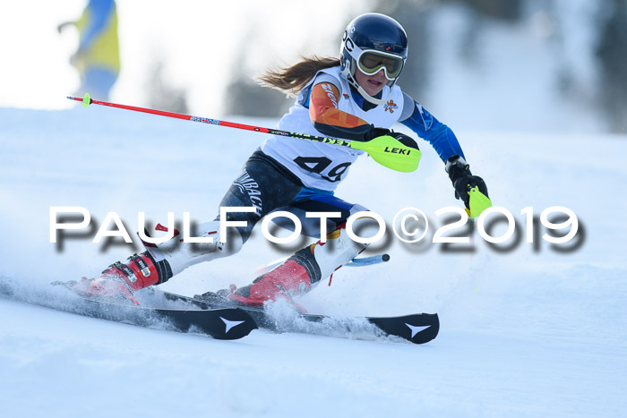 DSV Dt. Schülercup U14 SL 20.01.2019 Slalom