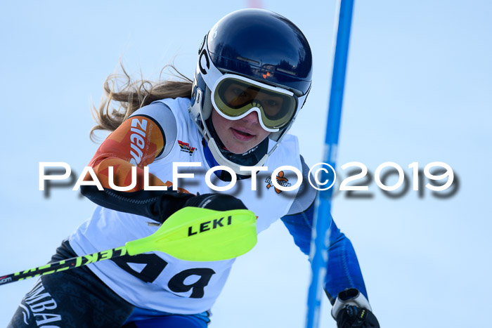 DSV Dt. Schülercup U14 SL 20.01.2019 Slalom