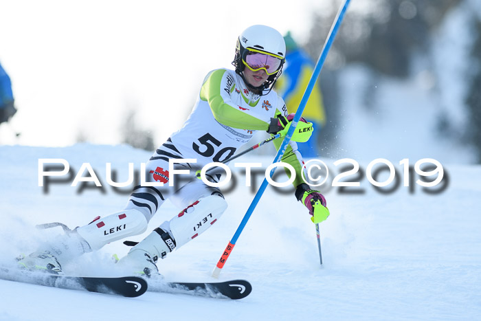 DSV Dt. Schülercup U14 SL 20.01.2019 Slalom